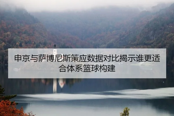 申京与萨博尼斯策应数据对比揭示谁更适合体系篮球构建